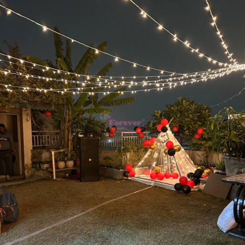 Canopy Love Setup